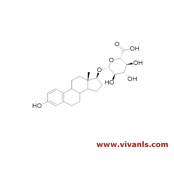 Glucuronides-Estradiol 17-O-β-D-glucuronide-1654758623.png
